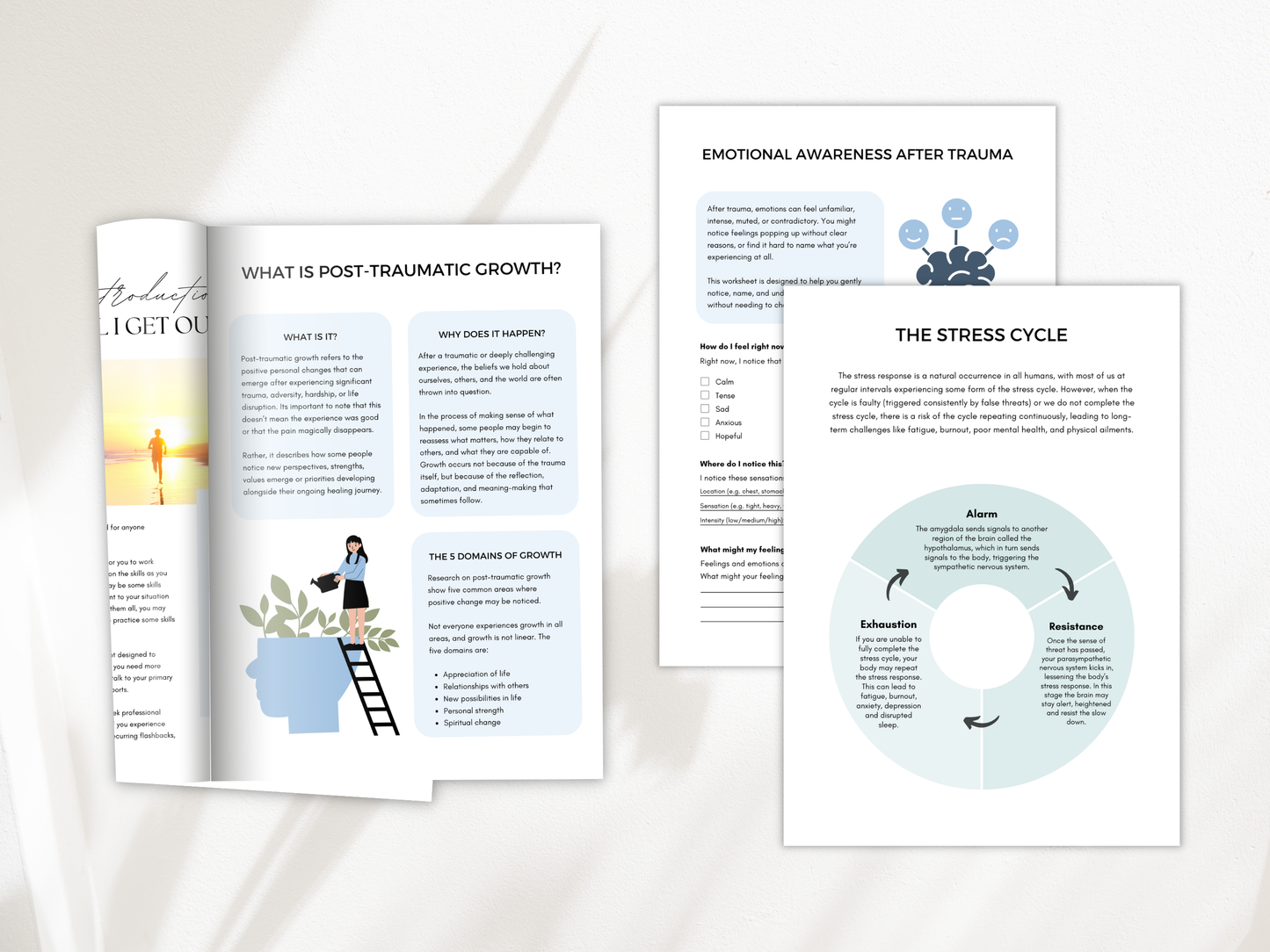 Post-Traumatic Growth Worksheets