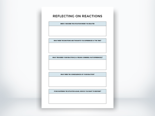 Reflecting On Reactions Worksheet PDF