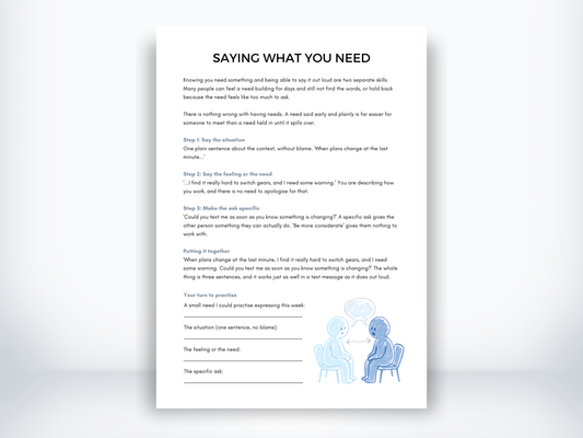 Saying What You Need PDF