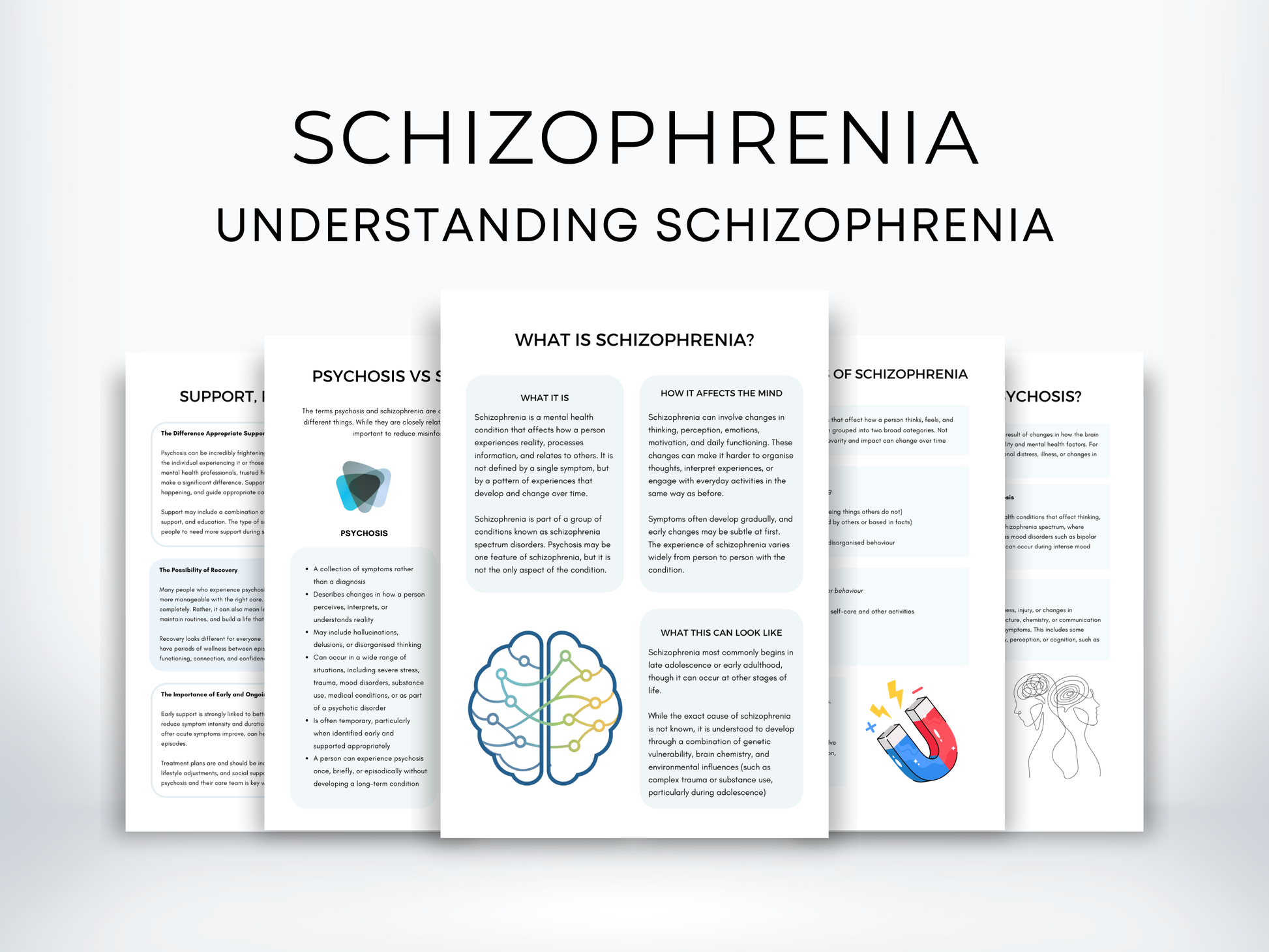 Understanding Schizophrenia & Psychosis Worksheets