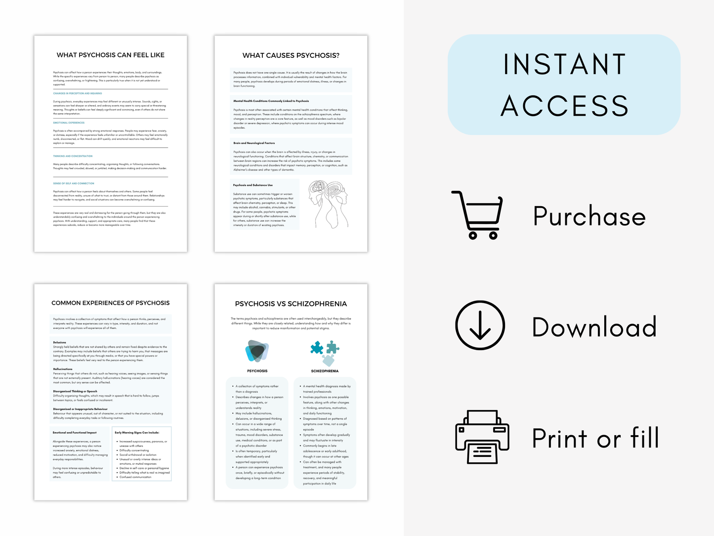Understanding Schizophrenia & Psychosis Worksheets