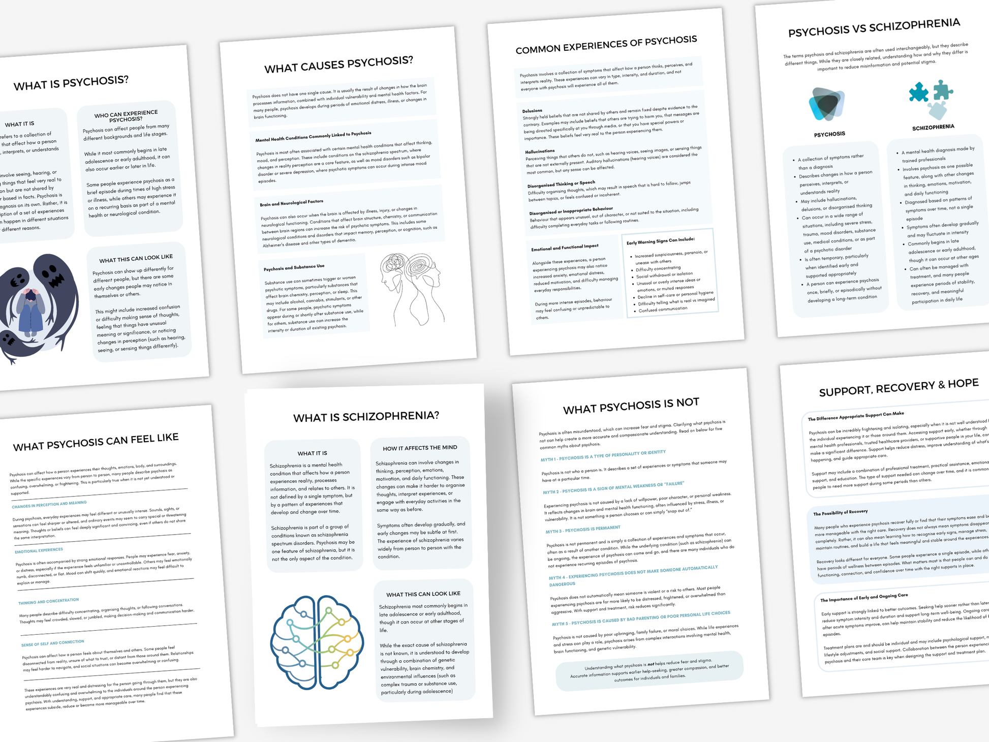 Understanding Schizophrenia & Psychosis Worksheets