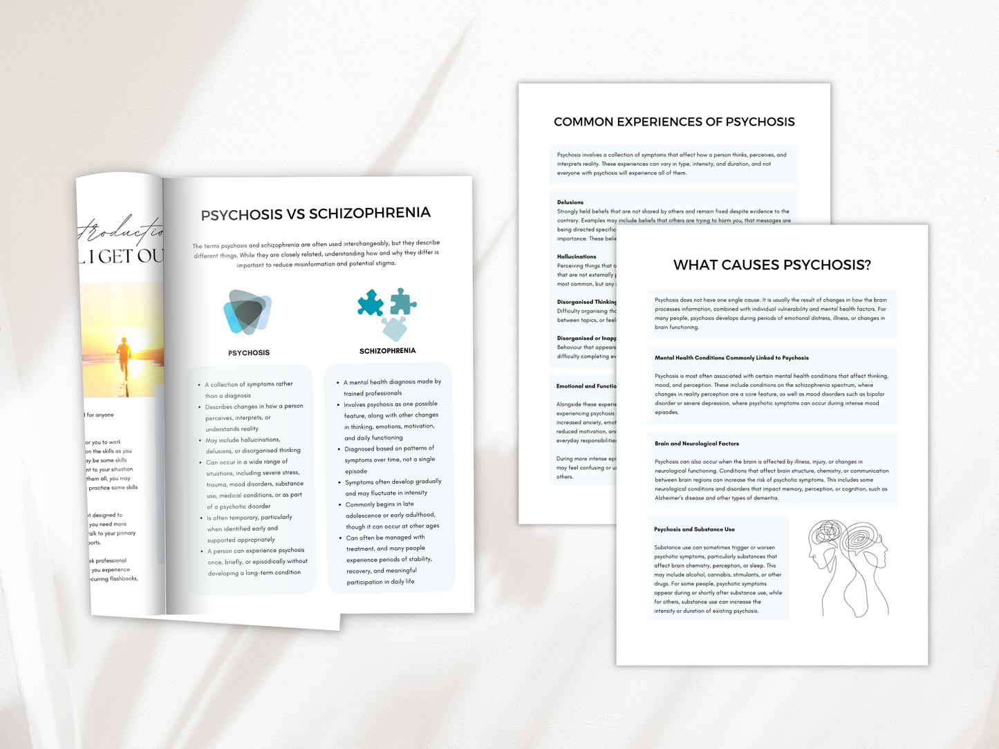 Understanding Schizophrenia & Psychosis Worksheets