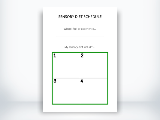 Sensory Diet Visual Schedule PDF