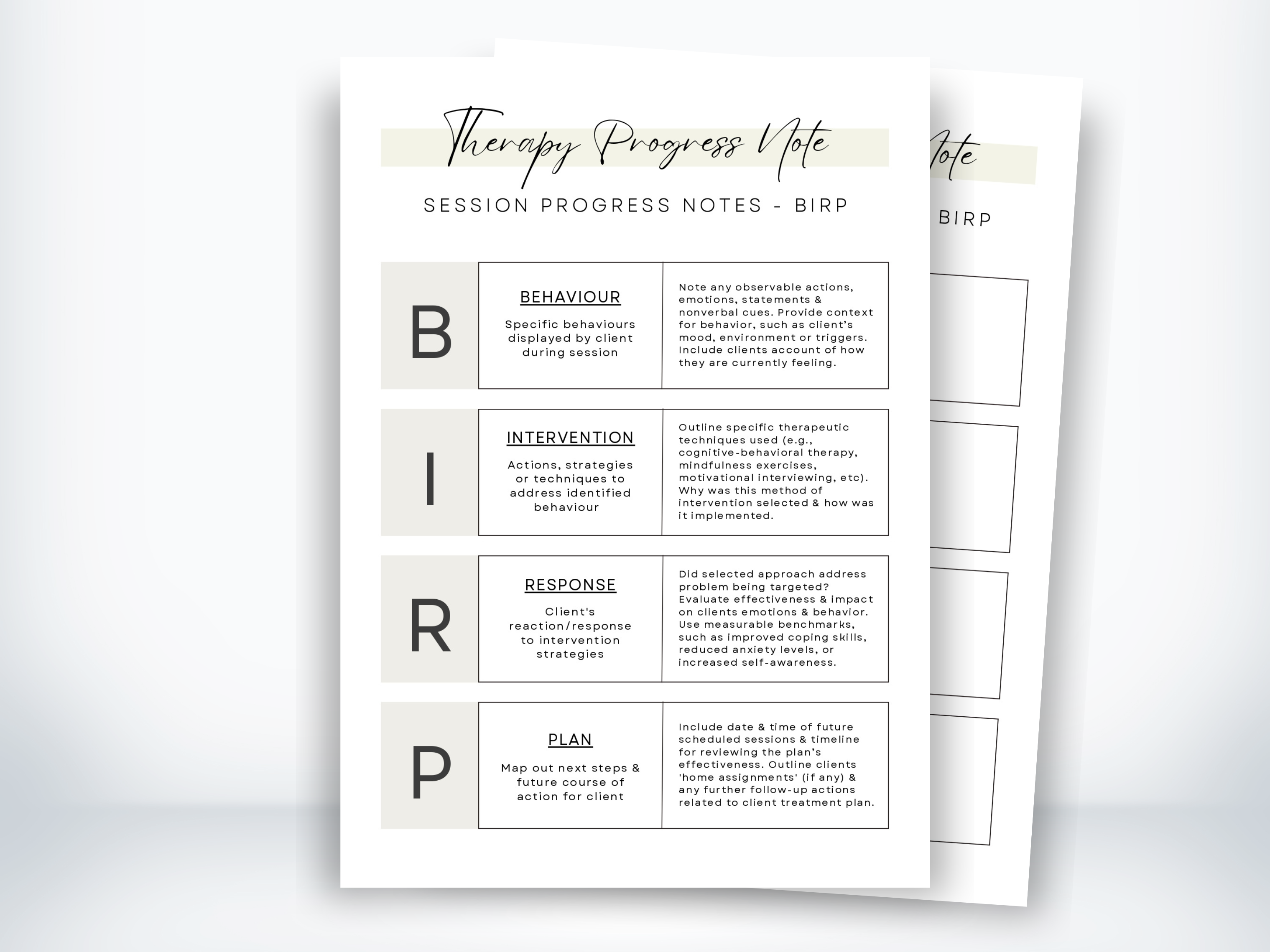 Session Progress Notes - BIRP Worksheet (PDF) | My Thriving Mind