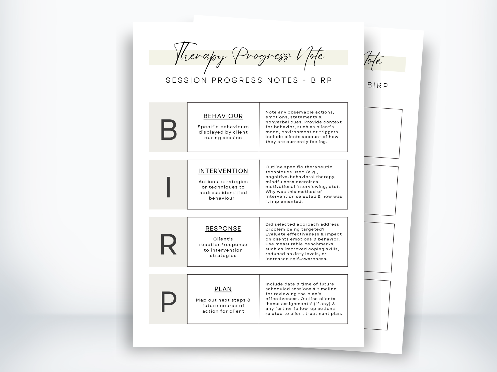 Session Progress Notes - BIRP PDF