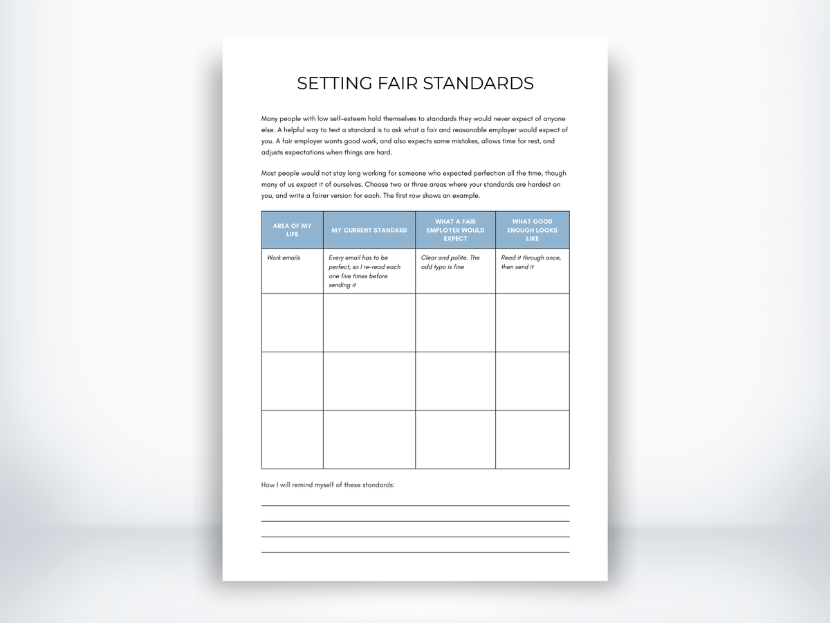 Setting Fair Standards PDF
