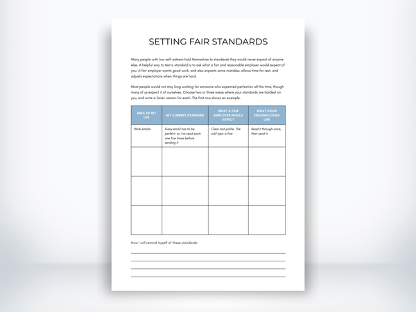 Setting Fair Standards PDF