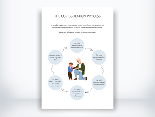 The Co-Regulation Process Worksheet PDF