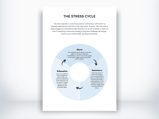 The Stress Cycle Handout PDF - My Thriving Mind