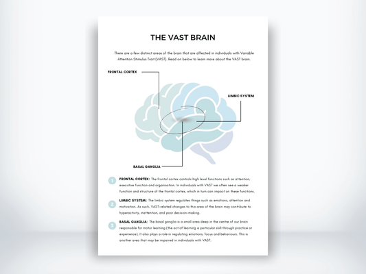 The VAST Brain Handout PDF - My Thriving Mind