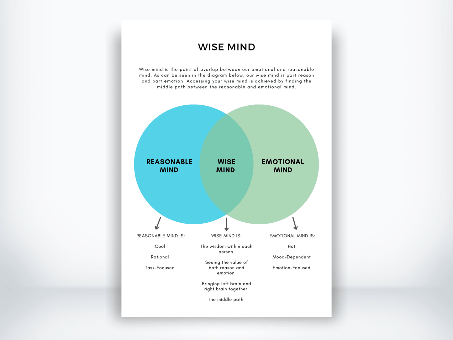 WISE Mind DBT Skills PDF - My Thriving Mind