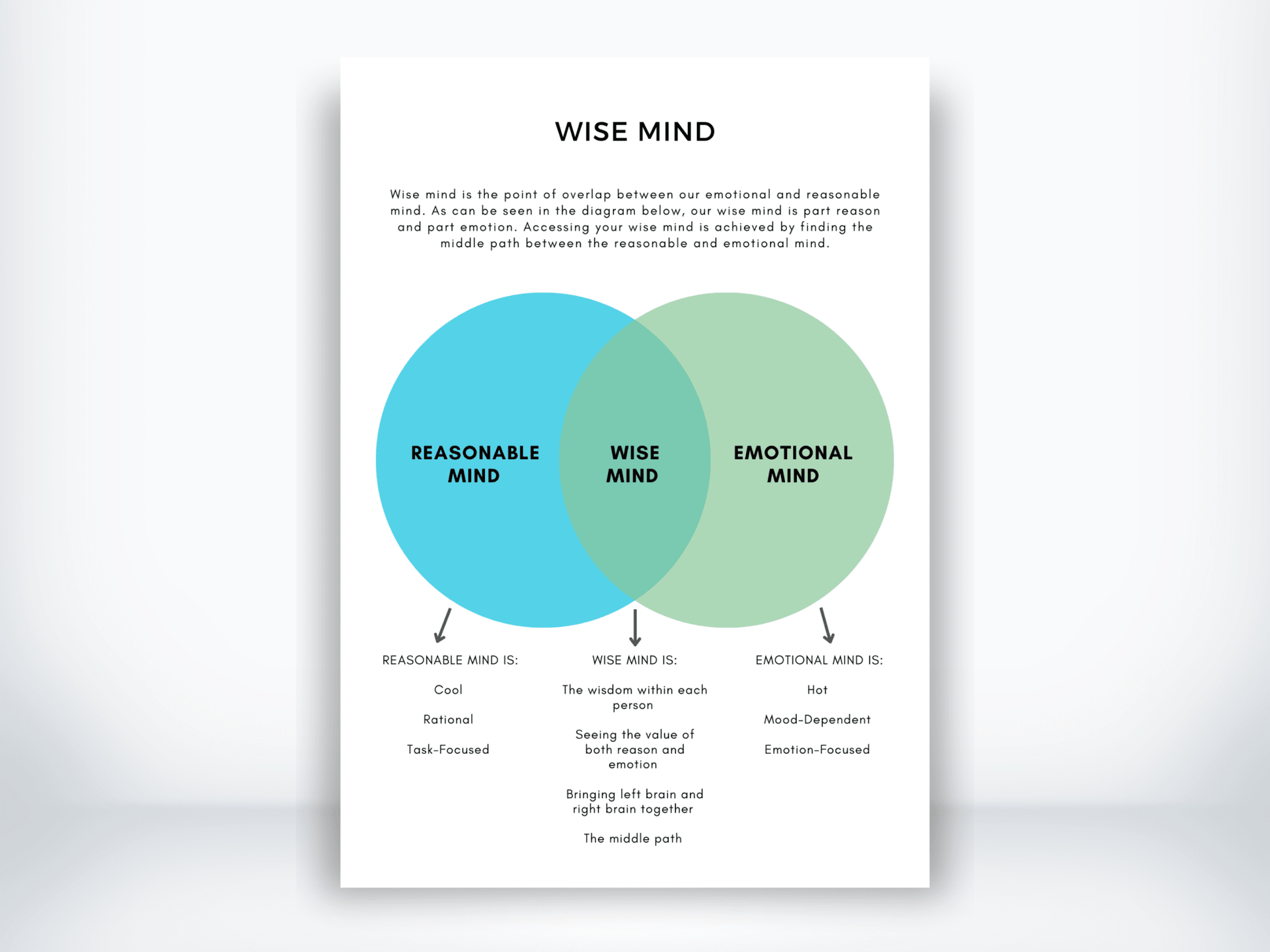 WISE Mind DBT Skills PDF - My Thriving Mind