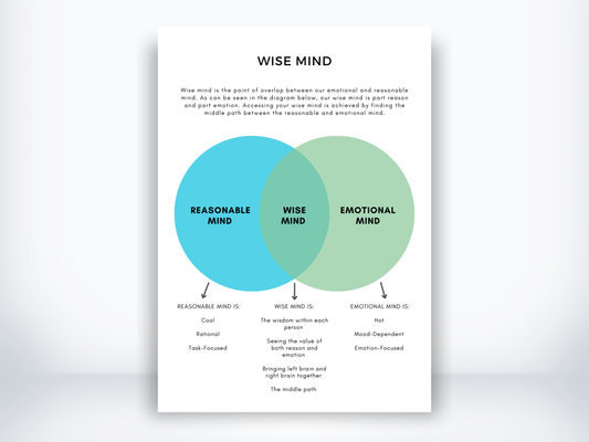WISE Mind DBT Skills PDF
