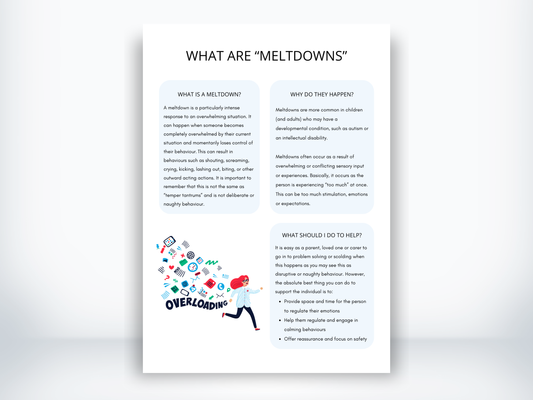 What Are Meltdowns Handout PDF
