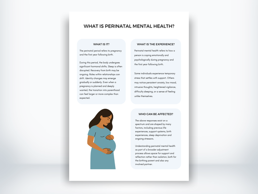 What Is Perinatal Mental Health Handout PDF