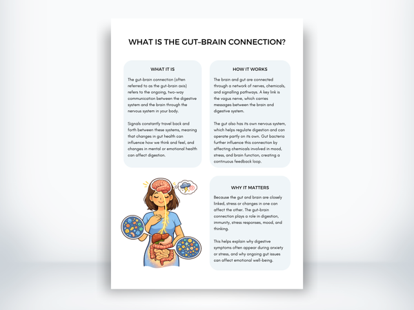 What Is The Gut-Brain Connection Handout PDF