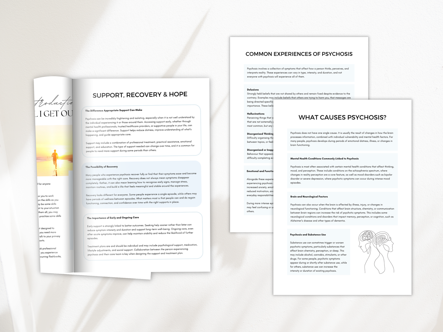 Understanding Psychosis Worksheets
