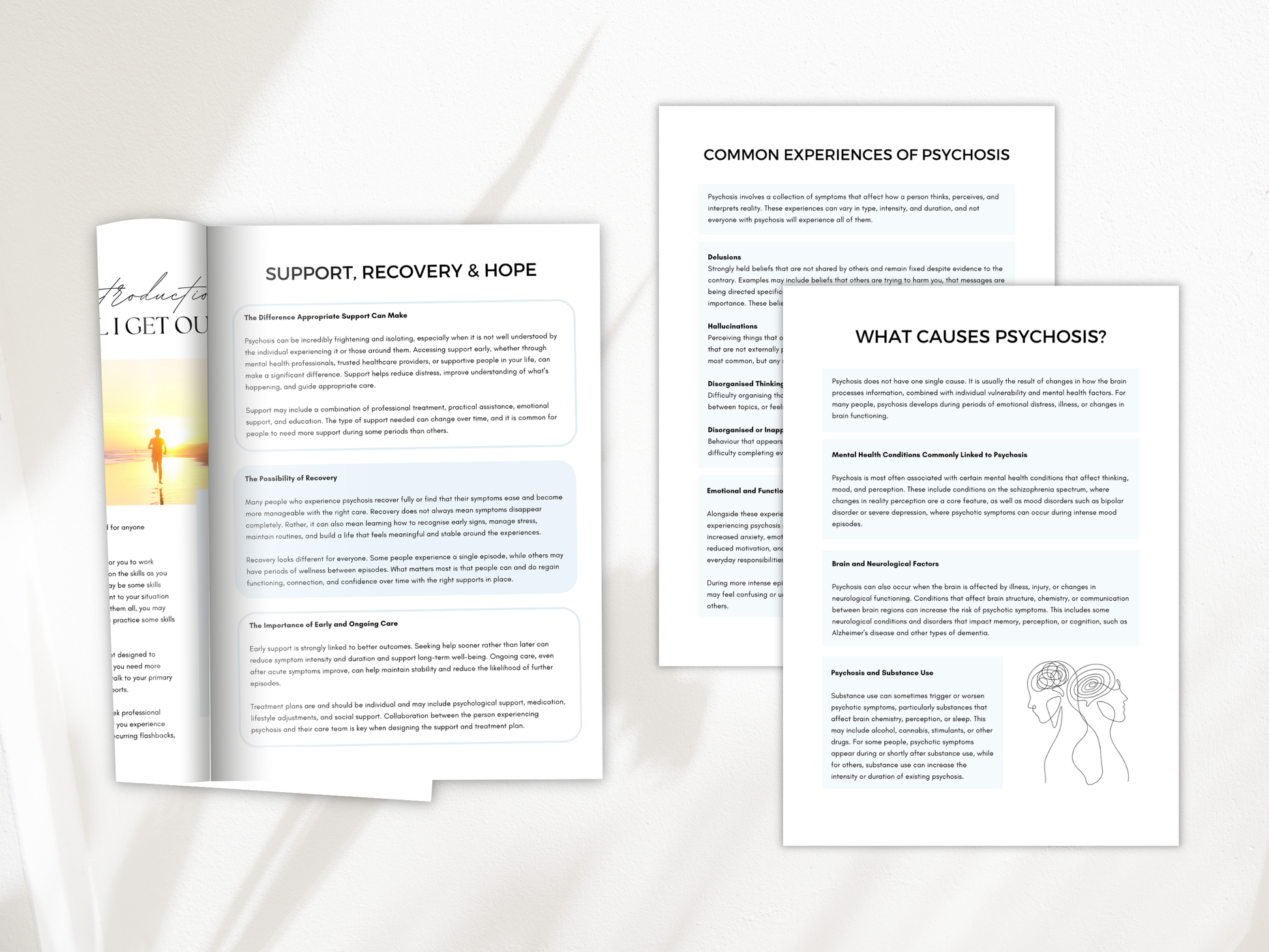 Understanding Psychosis Worksheets