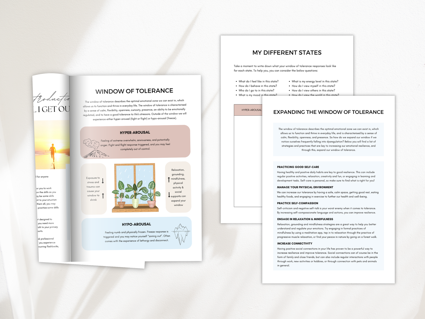 Window of Tolerance Worksheets PDF