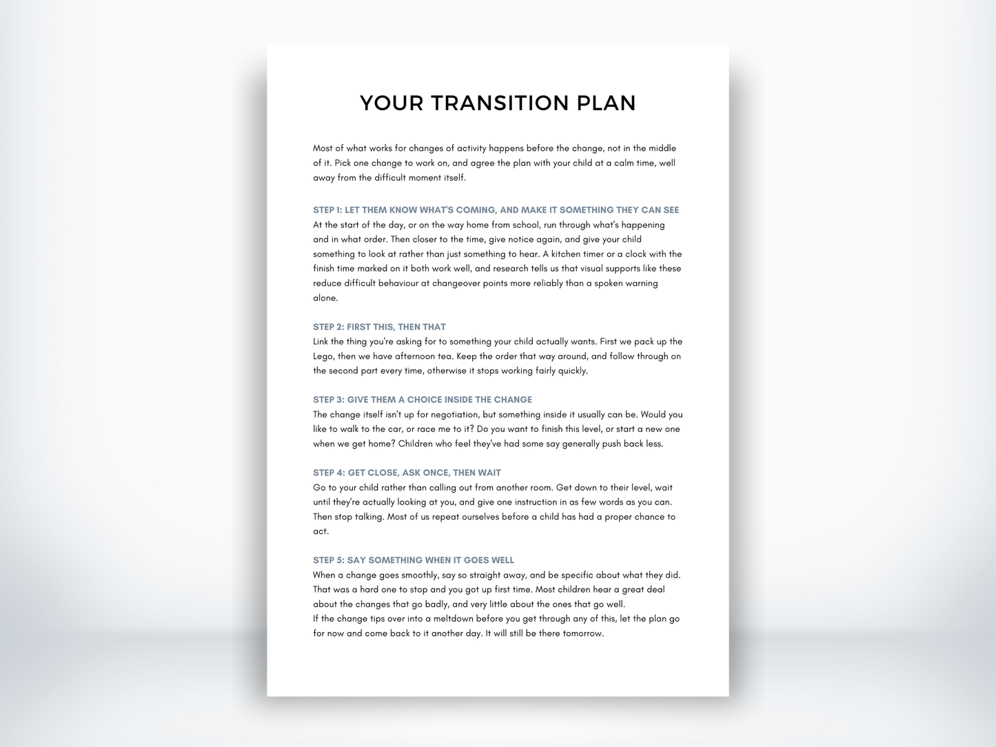 Your Transition Plan PDF
